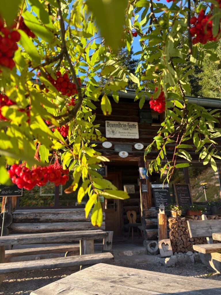 Eingang der Brunnsteinhütte Mittenwald mit Bergbeeren im Vordergrund